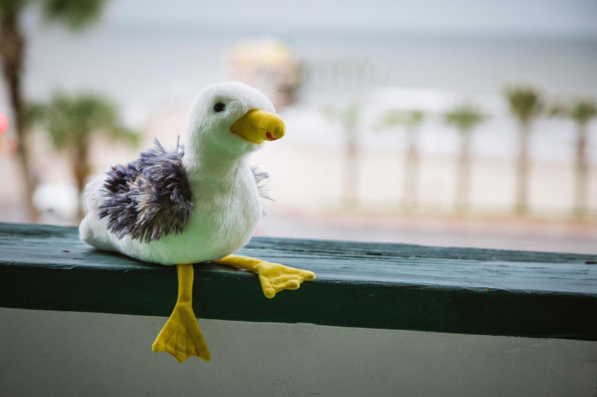 Cdm 303 - Sandy Seashore Solace Galveston Kültér fotó